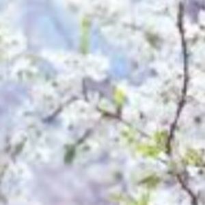 Meet your Posher, Matilyn